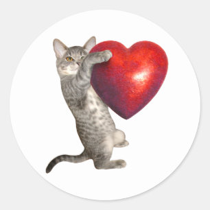 Tabby Kitten mit Big Red Heart Sticker
