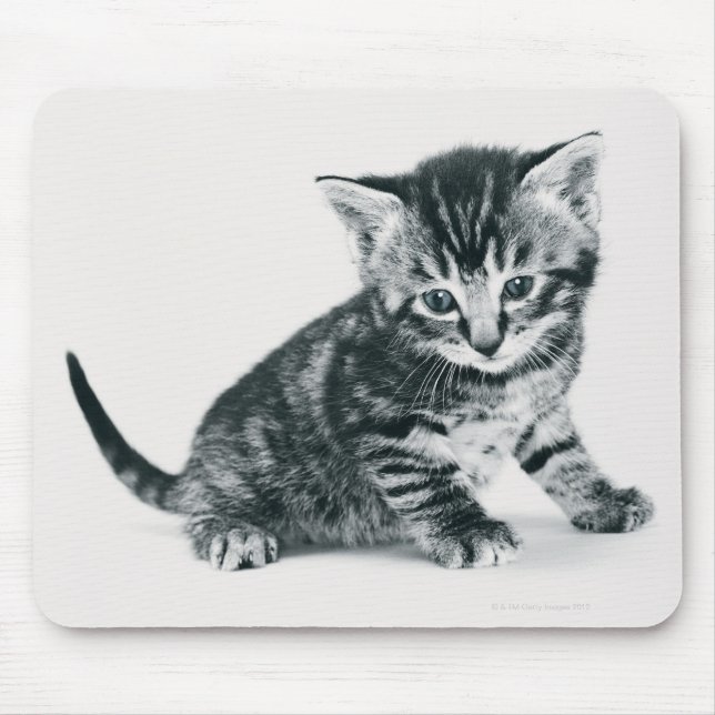 Tabby Kitten Mousepad (Vorne)