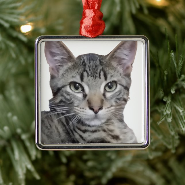 Tabby Kitten Ornament Aus Metall (Baum)