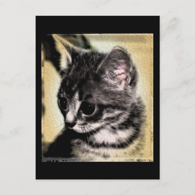 Tabby Kitten Postkarte (Vorderseite)