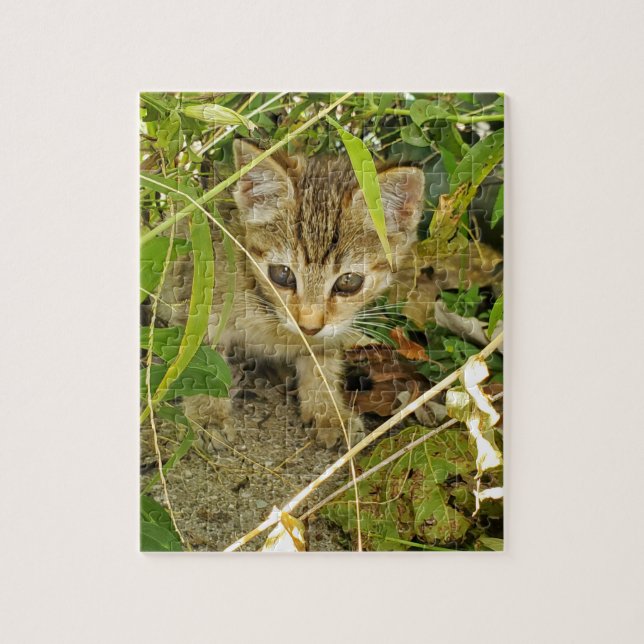Tabby Kitten Puzzle (Vertikal)