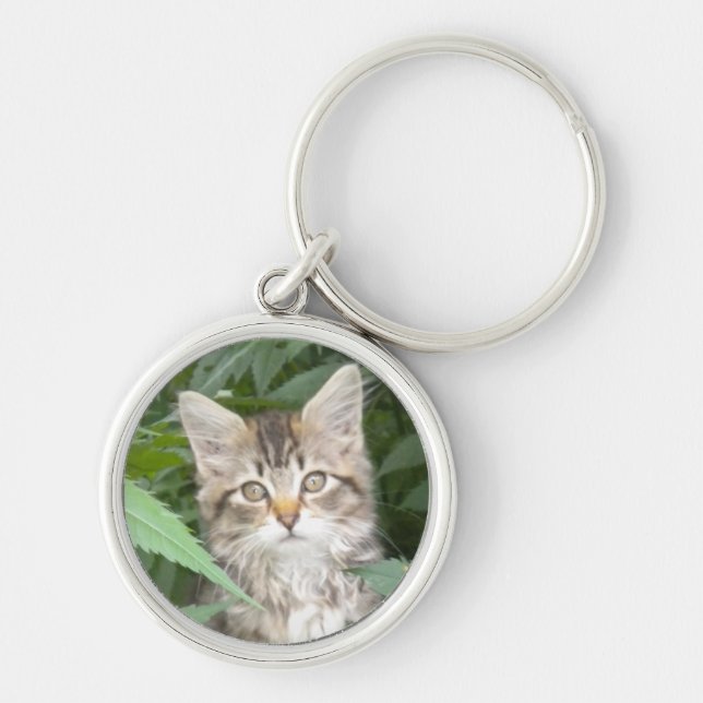 Tabby Kitten Schlüsselanhänger (Vorne)
