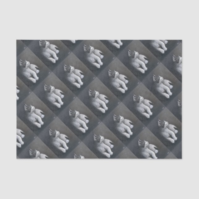 Tabby Kitten Seidenpapier (Vorderseite)