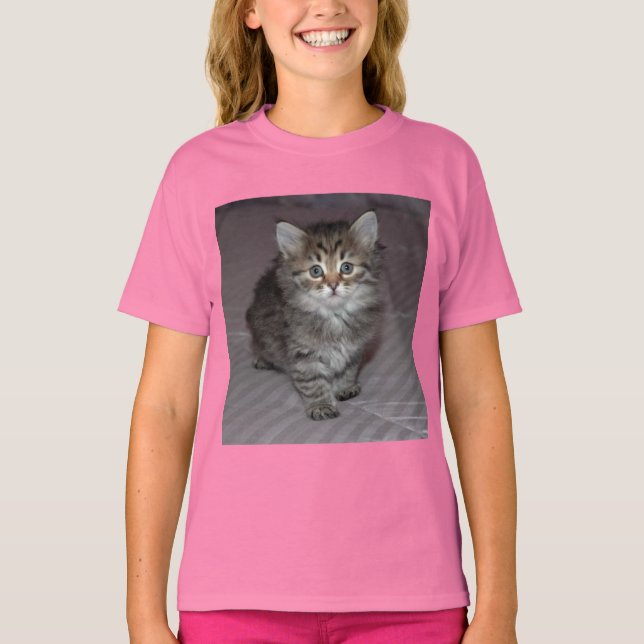 Tabby Kitten Shirt (Vorderseite)