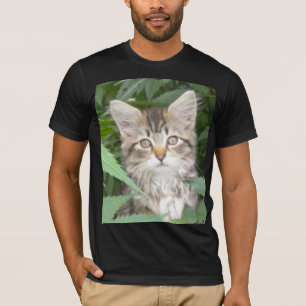 Tabby Kitten T-Shirt