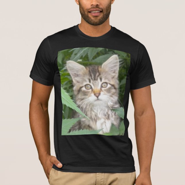 Tabby Kitten T-Shirt (Vorderseite)