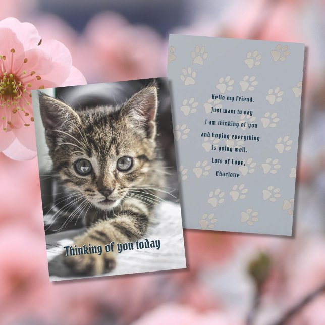 Tabby Kitten Thinking Your Message Card Einladung (Von Creator hochgeladen)