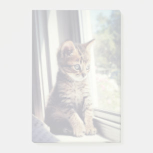 Tabby Kitten Watching Post-it Klebezettel