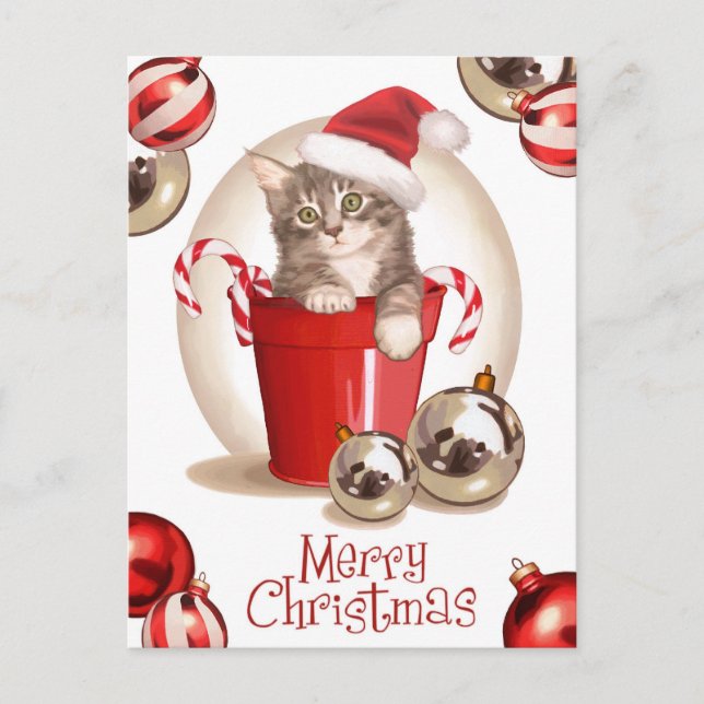 Tabby Kitten Weihnachten (Vorderseite)