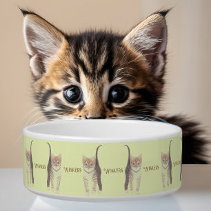 Tabby Kitten Yellow Cat Bowl Napf