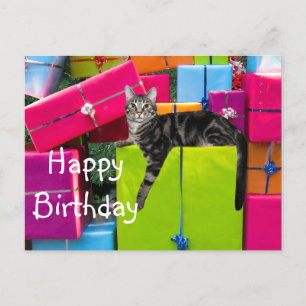 Tabby Kitty Cat Geburtstag Postkarte