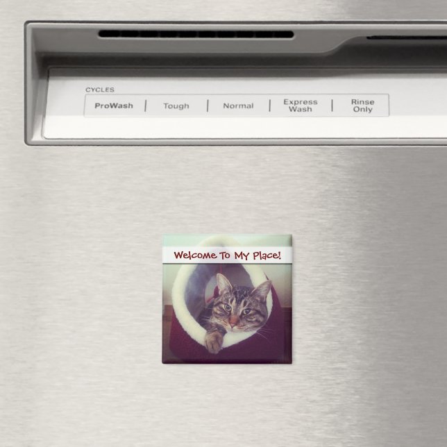 Tabby Kitty in Hütte Nah-Up Foto Magnet (In Situ (Geschirrspüler))