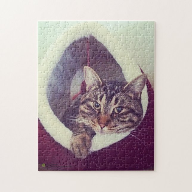 Tabby Kitty in Hütte Nah-Up Foto Puzzle (Vertikal)