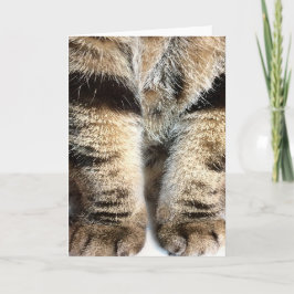 Tabby Leges Note Card - Leere Innenseite Karte