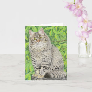 Tabby Longhair Karte
