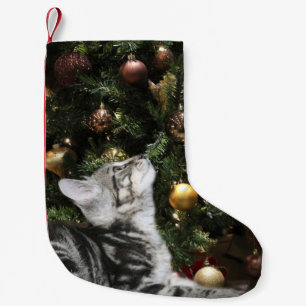 Tabby-Miezekatze Kleiner Weihnachtsstrumpf