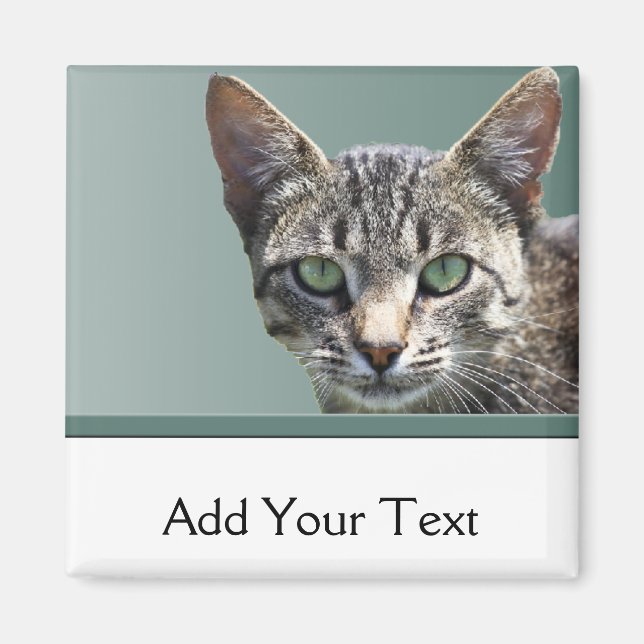 Tabby mit grünen Augen gestreift Magnet (Vorne)
