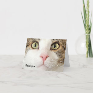 Tabby Pet Care Vielen Dank Dankeskarte