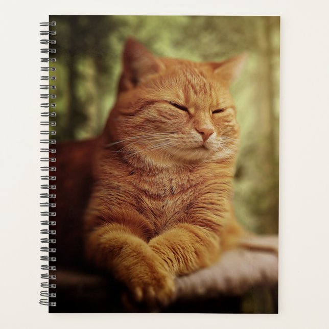 Tabby Planer (Vorderseite)