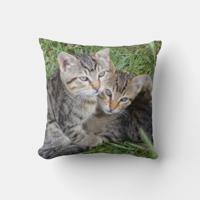 Tabby Sisters Throw Kissen (Vorderseite)