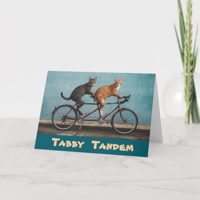 Tabby Tandem Karte (Vorderseite)