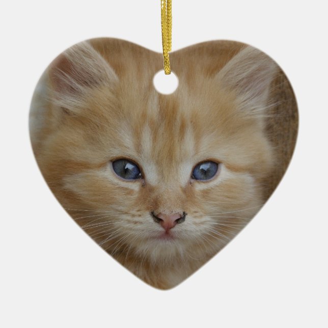 Tabby Tomcat Kitten Keramik Ornament (Vorne)