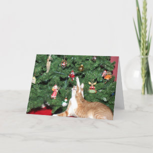 Tabby und Weihnachtsbaum Feiertagskarte