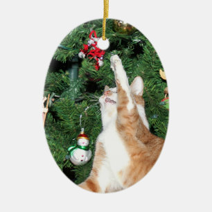 Tabby und Weihnachtsbaum Keramikornament