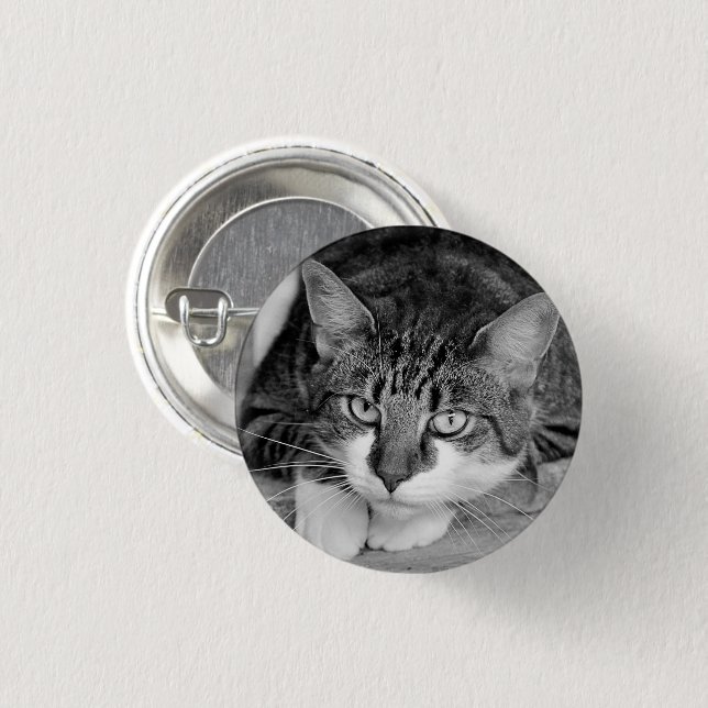 Tabby und White Cat Face Button (Vorne & Hinten)