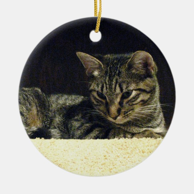 Tabby-Verzierung Keramik Ornament (Vorne)