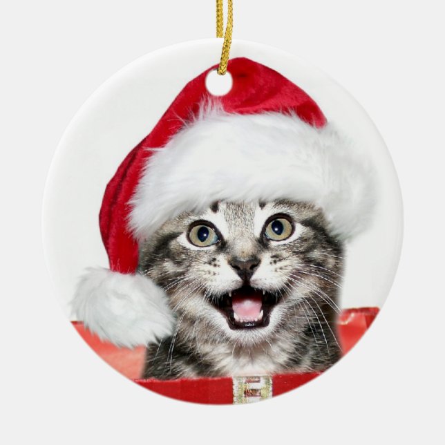 Tabby-Weihnachtskätzchen Keramikornament (Vorne)