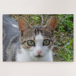 Tabby & White Cat Jigsaw Puzzle
