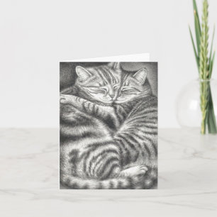 TABBYcat-ZUNEIGUNG Karte