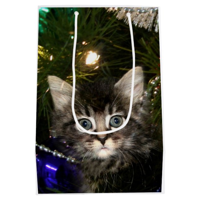Tabbykätzchen im Weihnachtsbaum Mittlere Geschenktüte (Rückseite)