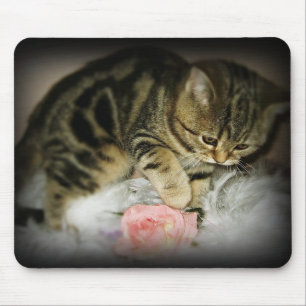 Tabbykätzchen mousepad