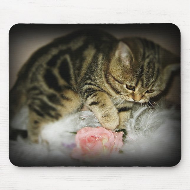 Tabbykätzchen mousepad (Vorne)