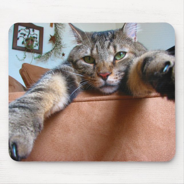 Tabbykatze mousepad (Vorne)