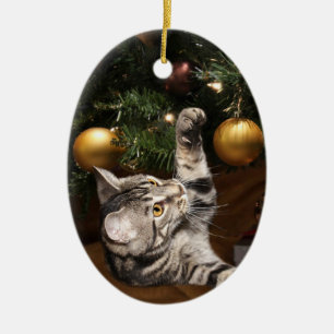 Tabbykatze und Weihnachtsbaum Keramik Ornament