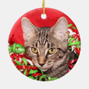 Tabbykatze Weihnachten Keramikornament
