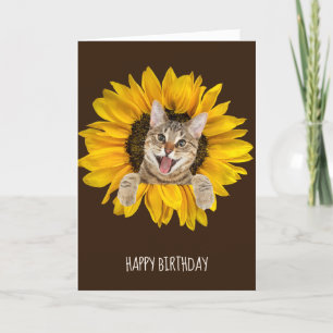Tabbykatze zum Geburtstag von Sonnenblumen Karte