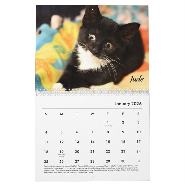 Tabby's Place-Kalender Kalender (Jan 2026)