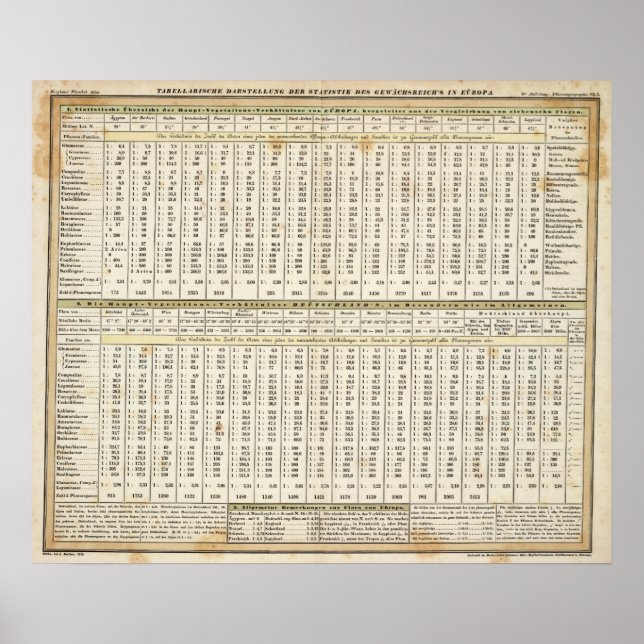 tabellarische Darstellung der Statistiken Poster (Vorne)