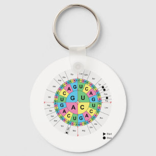 Tabelle der Aminosäure-Basissequenz Schlüsselanhänger