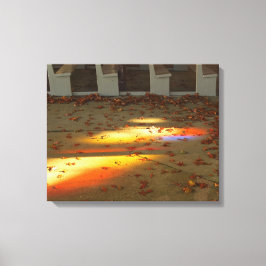 Tabernacle Blätter und Light - Martha's Vineyard Leinwanddruck