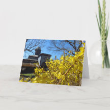 Tabernacle und Forsythia - Martha's Vineyard