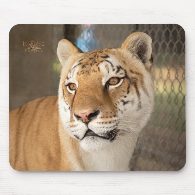 Tabitha Mousepad (Vorne)