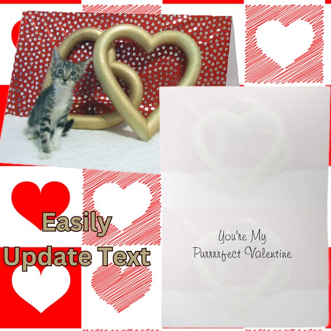 Tabitha's Valentine's - Cat / Kitten Valentine's Feiertagskarte (Von Creator hochgeladen)