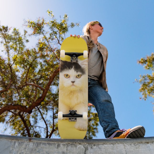 Tabla de skate Cachorro Gato Persa Skateboard (Außenbereich 1)
