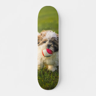Tabla de Skate Perrito Peludo con su pelota Skateboard