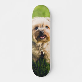 Tabla de Skate Perrito Terrier Adorable Skateboard